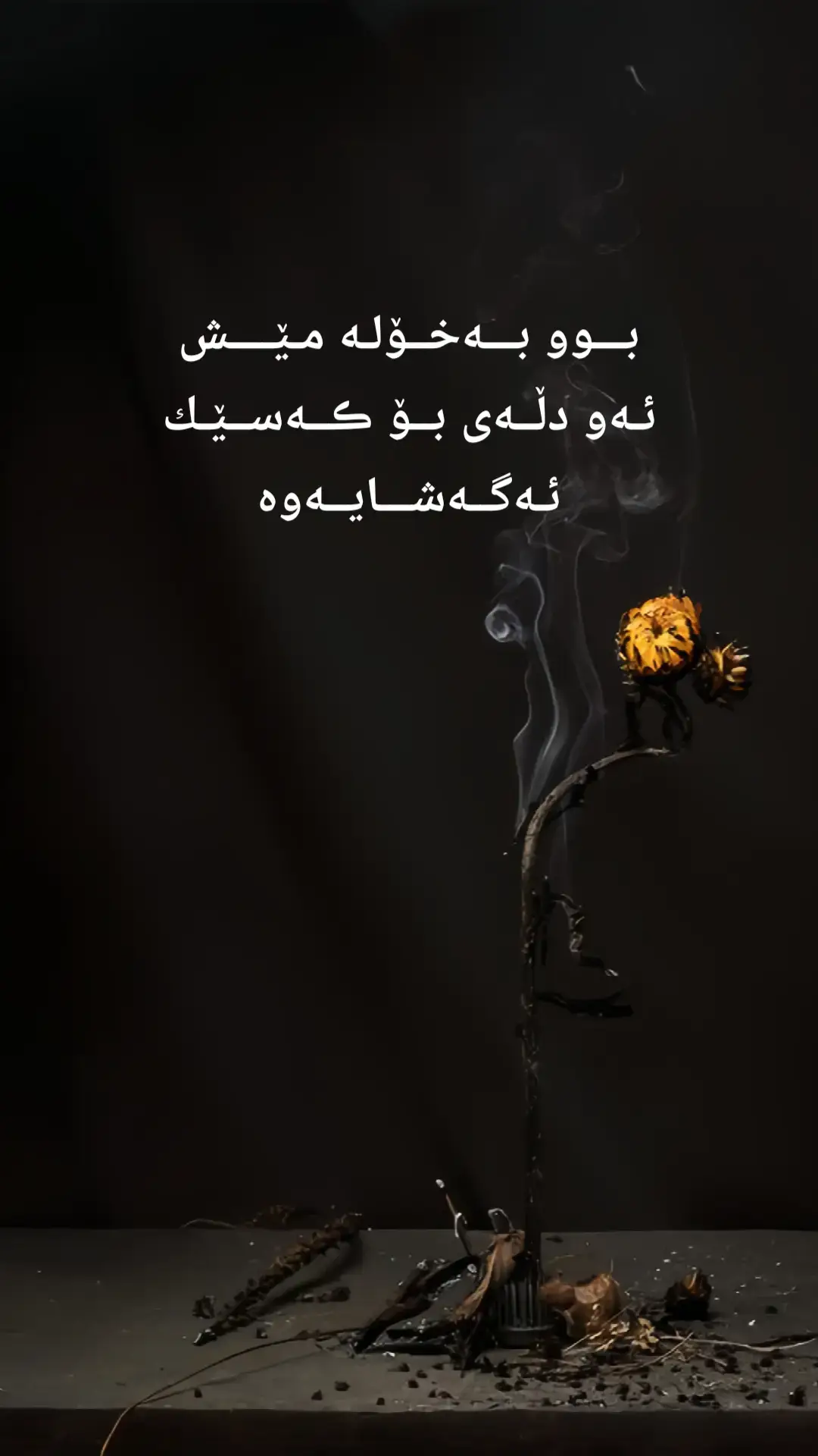 #هەولێر_سلێمانی_دەهۆک_ڕانیه_کەرکوک #هەولێر #سلێمانی #کەرکوک #کفری #کەلار #کۆیە #رانیە #ئەکتیڤبن🥀🖤ـہہـ٨ــہ #fyp #fypシ゚ #viralvideo #viral #vairal 