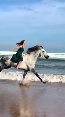 There’s a freedom you feel on a horse that you experience only once in a lifetime, and never forget. 🫶🏼 Nina & Amigo  👉🏼 We are a Travel Agency based in Essaouira (Morocco). Join us for an unforgettable horseride holidays. Ride the best horses in town, and meet the best team of riders.  . . . . . . #horses #horsesoftiktok #horse #horsetok #equestrian #fyp #cheval #fypage #viral #viralvideo #pferd #horsesontiktok #лошадь #horselove #essaouira #morocco #lovak #caballos #cavalli 