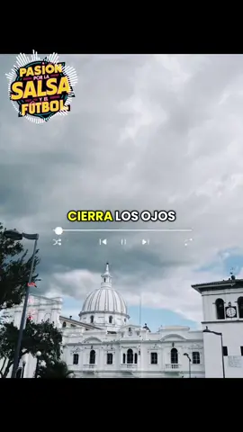 Vivo para tí🌹🎶🪇🎺🪘👏🏻🤩 #salsaromantica #salsa #salsabaul #cancionesparahistorias #cancionesparadedicar #cancionestendencia #salseros #salsaparaestados 