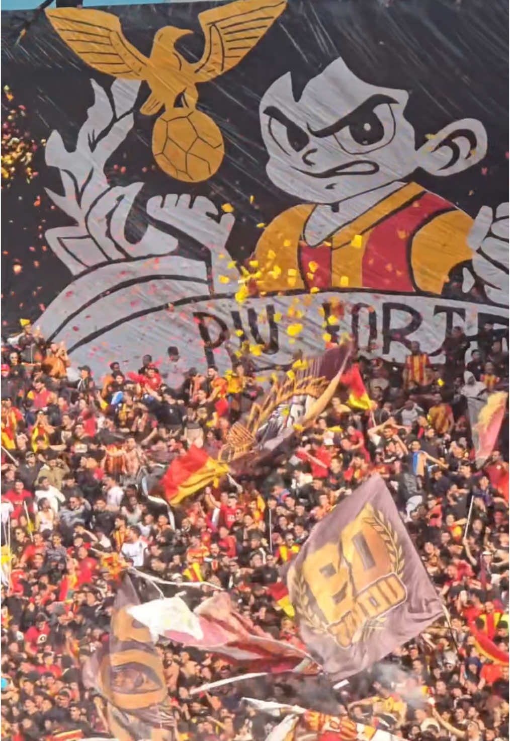 🟡🔴 #غول_افريقيا❤️💛💛💛💛🇹🇳🇹🇳🇹🇳🇹🇳❤💛 #بطل_الدوري #ترجي_يا_كبير #champion #ADAWLA_ATARAJIA #goviral 