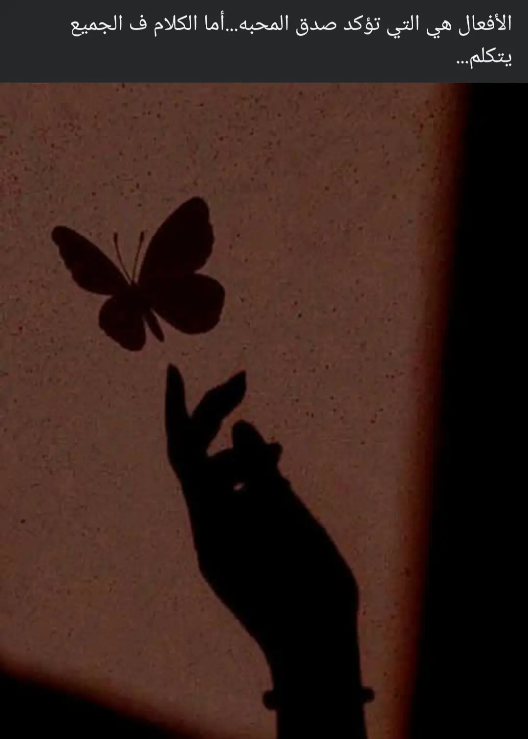 🖤🦋🦋🖤