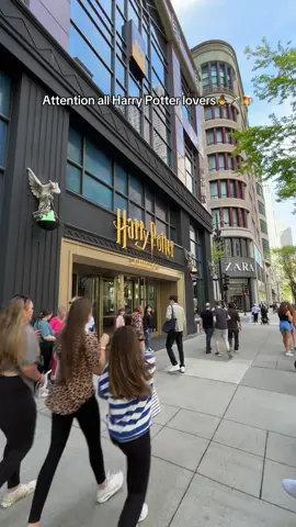 Such a fun experience and they sell butter beer 👀🪄🧙 #harrypotter #chicago #chicagothingstodo #butterbeer 