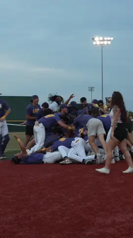 What 54-0 feels like... #LSUSBaseball #ChasingPerfection