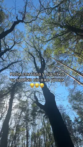 #школа #підоітки #заняття#cheerfulfamily1 #рек #врек #діти 
