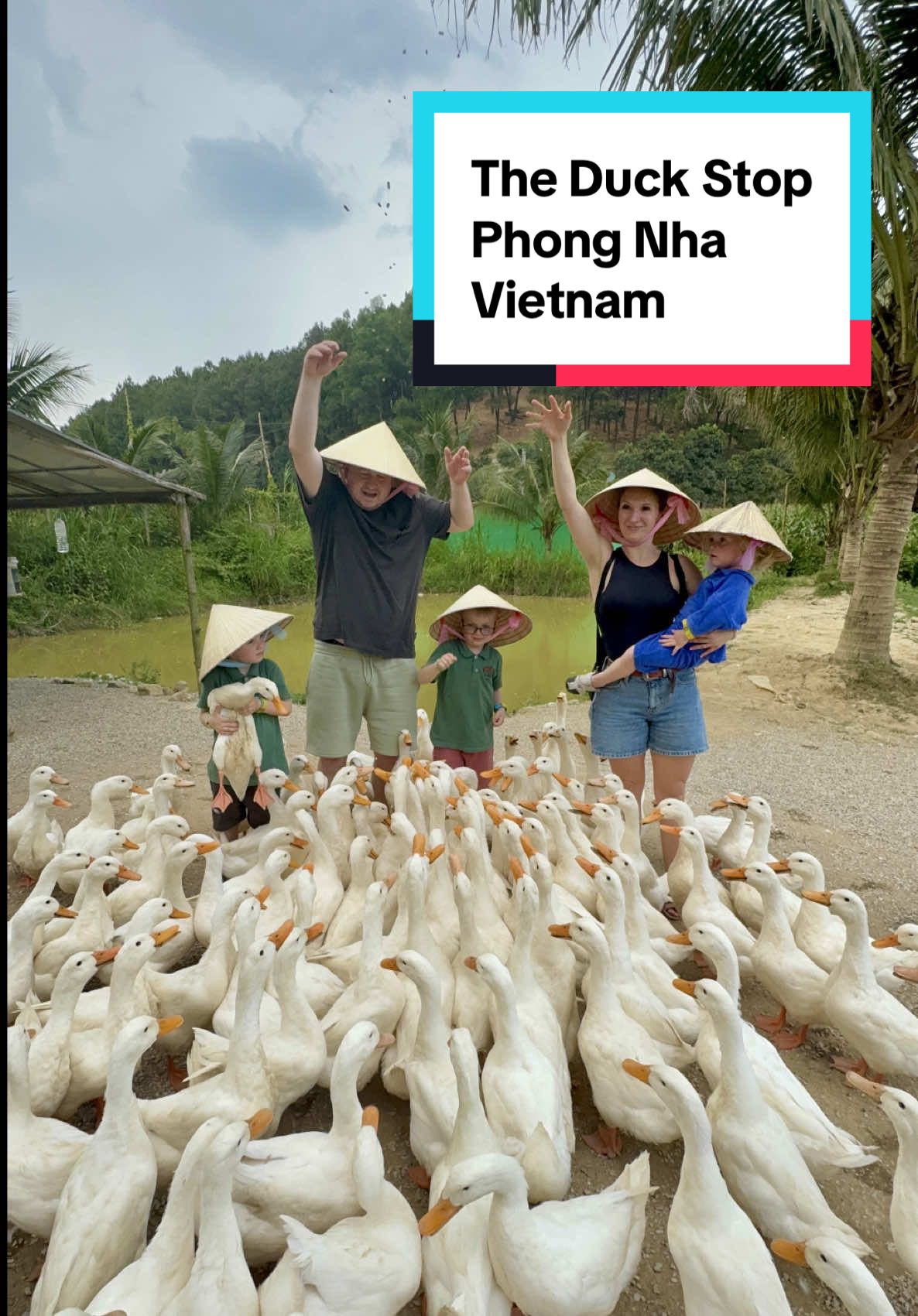 📍 The Duck Stop, Phong Nha, Vietnam 🇻🇳  The Best £6 we have ever spent as a family. This place was one of the kids favourite activities in Vietnam. #Vietnam #Backpacker #SEAsia #PhongNha #DuckLeader #TheDuckStop #Backpacking #Travel #FYP #TheDuckStopPhongNha #KidFriendlyFun  #creatorsearchinsights 