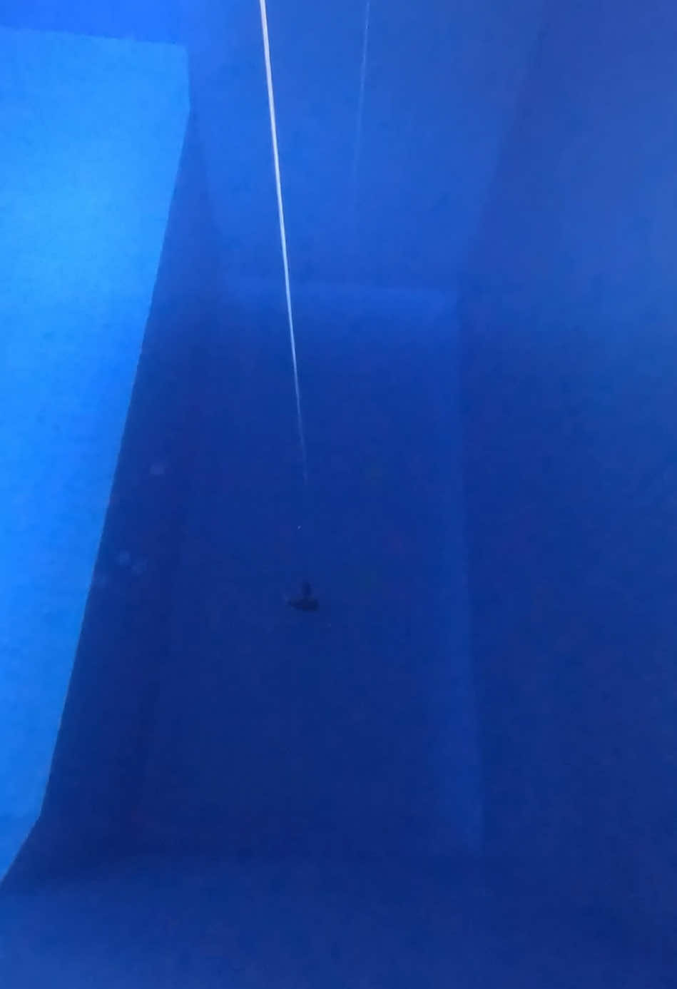 #Neverdivealone #freedive #freedivegirl #freediving 