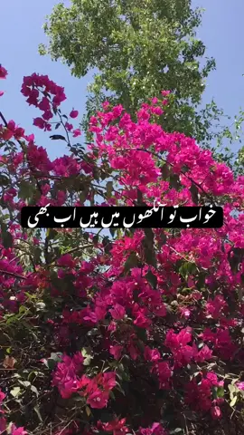 #تعبیریں #خواب#❤️❤️✨✨ #fypシ゚ #foryou 