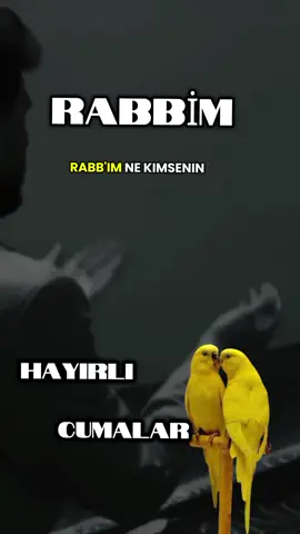 #@mavi🦋kelebek مافيكلبك #HAYIRLI #CUMALAR #keşfetteeyizz #viral_viral_virsl #viral_viral_virsl 