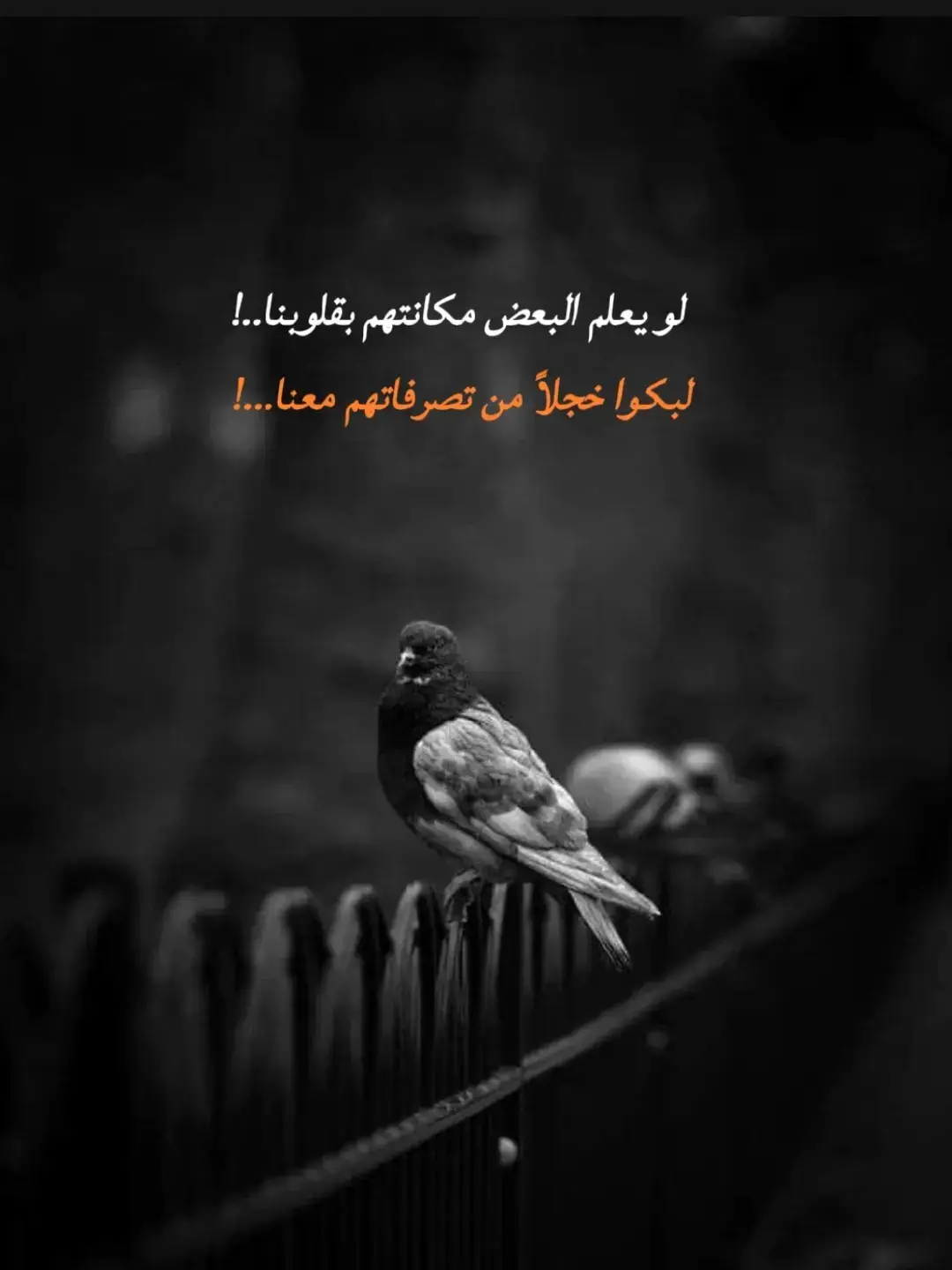 #اقتباسات_عبارات_خواطر #عبراتكم_الفخمه📿📌 