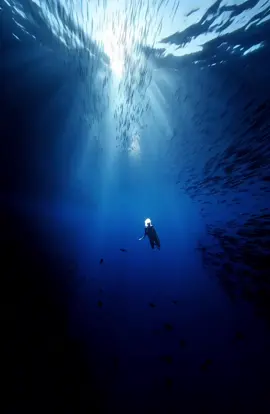 ⚠️ SCUBA DIVER Faces GIANT MEGALODON in Chilean Waters 🌊🦈 | Real Footage?! 🎥  🌊🌎 Deep in the icy blue waters off the coast of Chile, near La Serena… a scuba diver made a TERRIFYING discovery 🫨🧜‍♂️ While exploring an underwater trench, something HUGE began circling below… 👀💀 At first, just a shadow… then a MASSIVE tail fin… and finally — an enormous MEGALODON-like creature appeared right in front of him 🦈⚠️ 🎥 The diver’s GoPro caught EVERYTHING… from the rising bubbles to the moment the beast came within meters of him… 😱🫧 Could this be the return of the prehistoric predator we thought was extinct millions of years ago?! 🌌🦴 Marine experts are now reviewing the footage — some say it’s real, others say it’s impossible… but YOU decide: Was this a real megalodon encounter or just a trick of the deep? 🐋🕵️‍♂️ 👇 Watch till the END & tell us in the comments! 📌 #Megalodon #OceanMonster #ScubaLife #ChileDive #DeepSeaTerror #Unexplained #RealFootage #CryptoSea #SharkWeek #UnderwaterMystery #ViralOcean #TerrifyingSea #OceanSecrets #MysteryCreature #WildDiscovery #ScaryFootage #GoProMoments #SeaLegend #MegalodonReturns #TikTokMystery #Megalodon #ScubaDiving #Chile #OceanMystery #RealOrFake #DeepSea #SharkAttack #SeaMonster #MegalodonSighting #viralvideo 