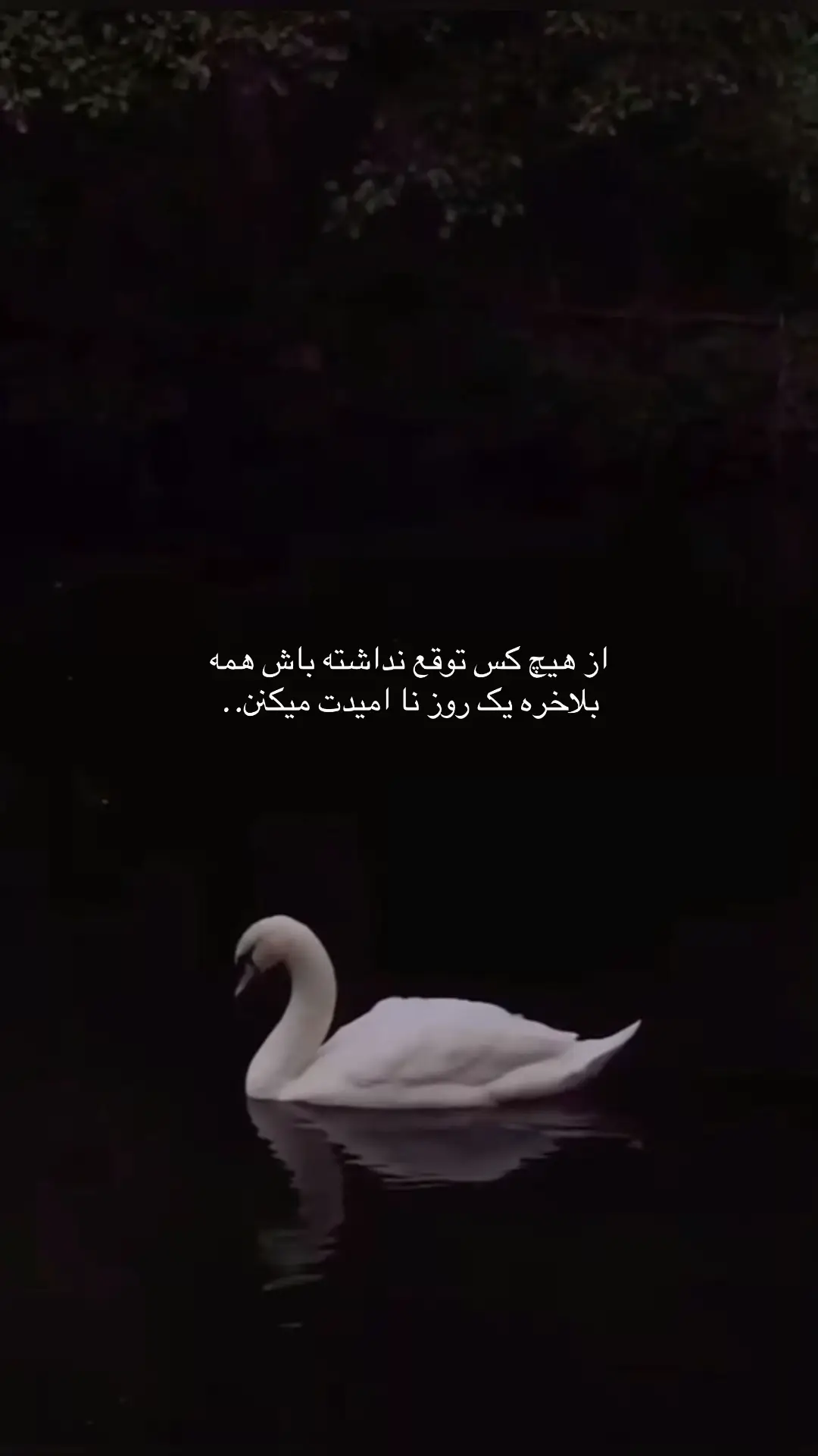 #افغانی_تیک_تاک #افغانستان🇦🇫🇦🇫🇦🇫 #عاشقانه #دخترافغان #afghangirl🇦🇫 #afghanboy 