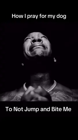 Say you love me say say you love me @Ye #letmeknow #dog #meme #brainrot #fortnite #pray #crying 