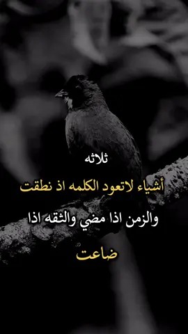 #عبارات_جميلة_وقويه😉🖤 #افضل_عبارة_لها_تثييت #عباراتكم_الفخمه🦋🖤🖇 