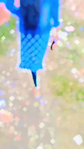 #foryou #ti̇ktok #😜😜😜😜😜🤭 #😎😎😎😎😎😎😎😎😎😎😎😎😎😎😎😎😎😎😎 @🦋🅸🆂🅼🅰🅸🅻🦋 @Md Shazmul Haque @Md Roni...❤️ 