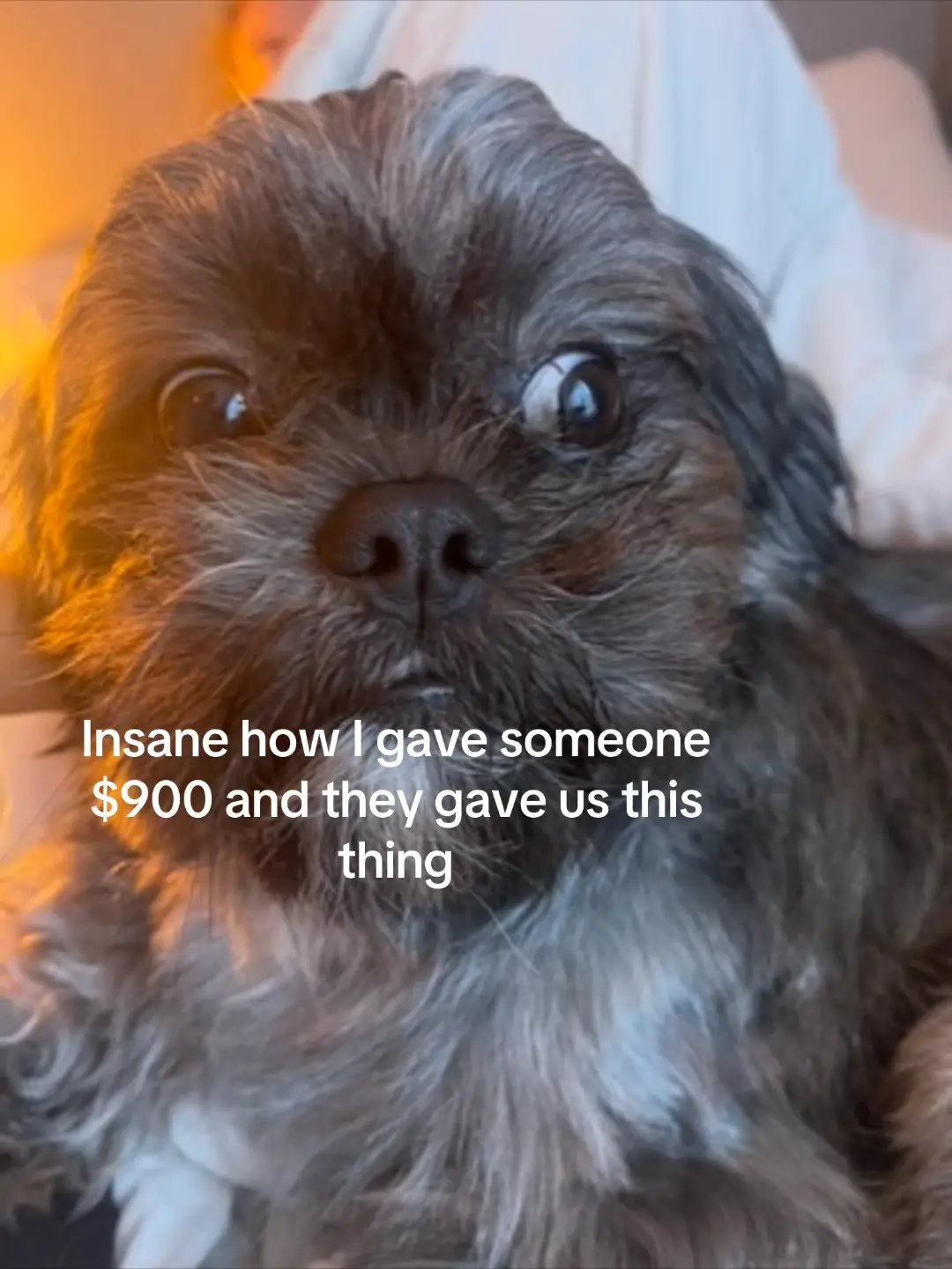 Jk all love even tho he ripped my hair out last night 