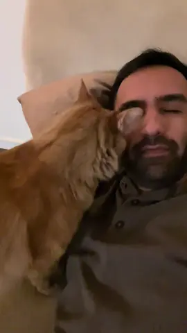 Catching up with Kermit’s day (found in the drafts) 🥰 #catdad #cats #catlover 