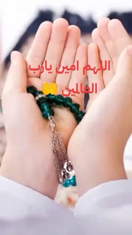 #الللهم_امين_يارب_العالمين🤲 #❤️❤️❤️❤️ 