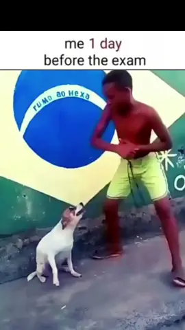 me before the exam                            #me #before #the #exam #mebeforetheexam #beforeexam #exams #brazil #brazil🇧🇷 #dancingdog #dancingdogs #brazildancingdog #dancingdogbrazil #meme #memestiktok #trend #school #schoollife #funny #fy #fyp #foryou #foryoupagе #foryoupage❤ #foryoupage❤️❤️ #foryoupagee #creatorsearchinsights 