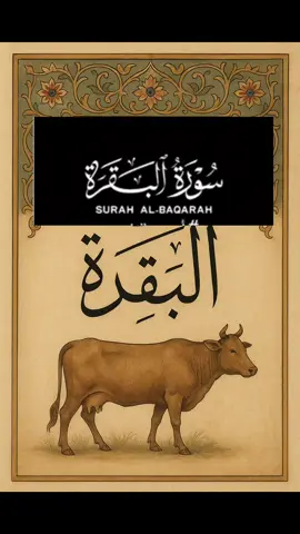 قصة سورة البقرة #تعال #اسمع #يامهموم #سورة #البقرة #مكه #المدينه_المنوره #تريح_القلب #اللهم_صل_على_محمد_وآل_محمد #اللهم_صل_وسلم_على_نبينا_محمد #اللهم_صلي_على_نبينا_محمد #الله @اللهم صل وسلم وبارك على محمد 