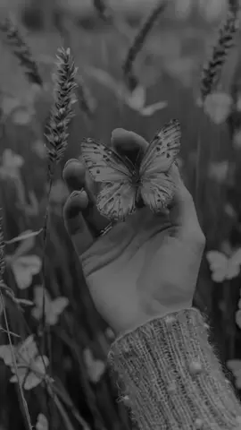 #CapCut #ستوريات #تصميم_فيديوهات🎶🎤🎬 #keşfet #viral 