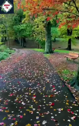 Beautiful Quran❤❤ #foreyoupage #foreyou #allahuakbar #quran #viral_video #islam #deen #tik_tok #tilawat 