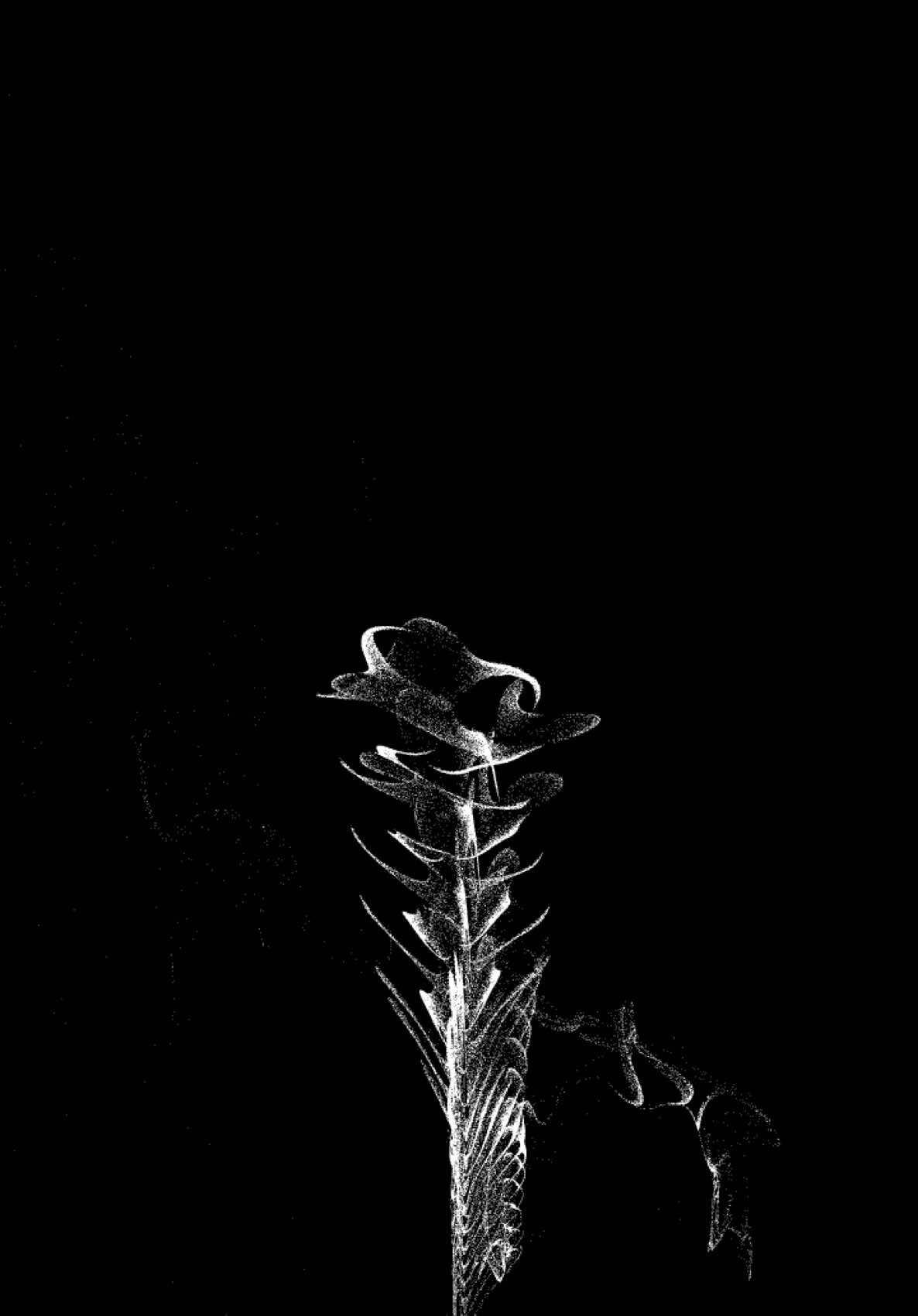 THE ABYSS - (Sakr Re/mi.’x) for @AM sin coming May 21st #electronicmusic #abstractart #digitalart #touchdesigner #sounddesign #musicproducer #audiovisual #glitch #modularsynth 