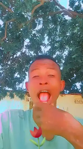 @nasteexo @saar @kaafiyo taano @mss fatma omar 