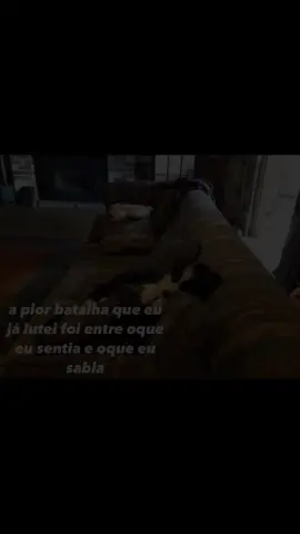 Me desflopa tik tok 😞 #fyp #foryoupage #frase #vida #ela #capcut_edit #dog #cat 