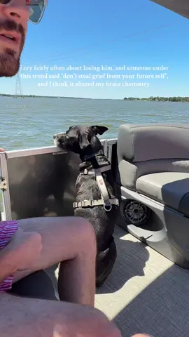 he’s 8 and perfectly healthy! I’ve had panic attacks about death for as long as I can remember. me, my family, my animals. since his sister crossed the rainbow bridge I’ve been having a difficult time. but that little sentence has really helped me. I still think I’ll be utterly destroyed when the time comes, but I’m gonna try to wait for then to feel it.  #soulmate #souldog #anticipatorygrief #anxiety #dogsoftiktok #grief #pitty #pitbull #catahoula #whatwouldidowithoutyou #mychild #luckygirl #tobelovedistobechanged 