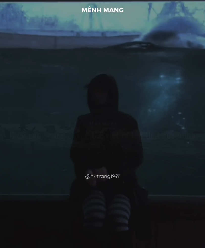 #menhmang #茫 #menhmangnhactrung  #musicstationdouyin💫 #nhactrungquoc #lyrics #vietsub #pinyin #douyin #tamtrang #xuhuong #fypシ #viralvideo #viral 