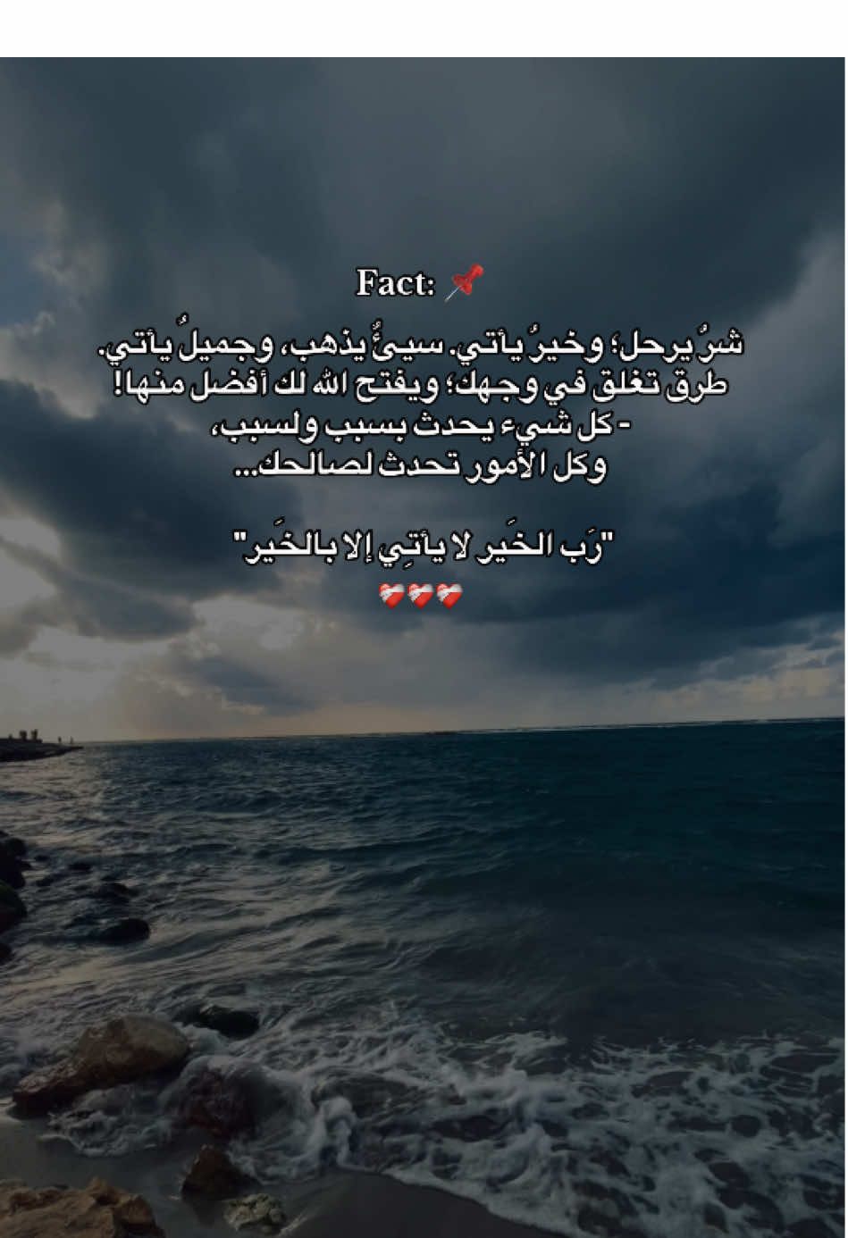 Fact 📌 #fyp #fypシ゚ #foryou #fypp  #explore #alexandria #pov  #اكسبلور #حالات_واتس #اسكندريه  #عبارات #الصحاب #ترند_تيك_توك  #حالات #مصر #السعودية #اقتباسات  #الشعب_الصيني_ماله_حل😂😂 