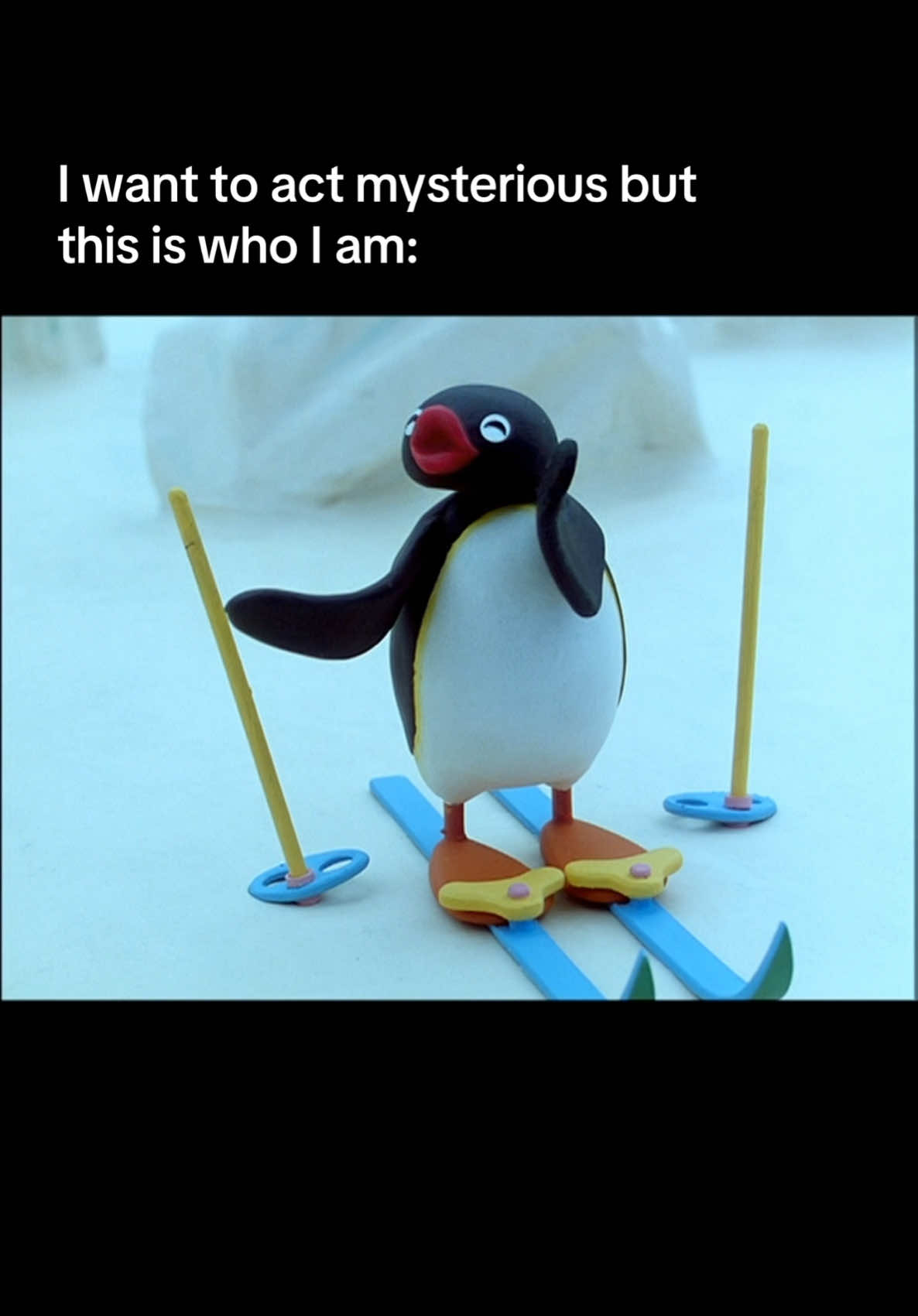 too chalant to be mysterious #pingu #nootnoot #chalant #nonchalant 