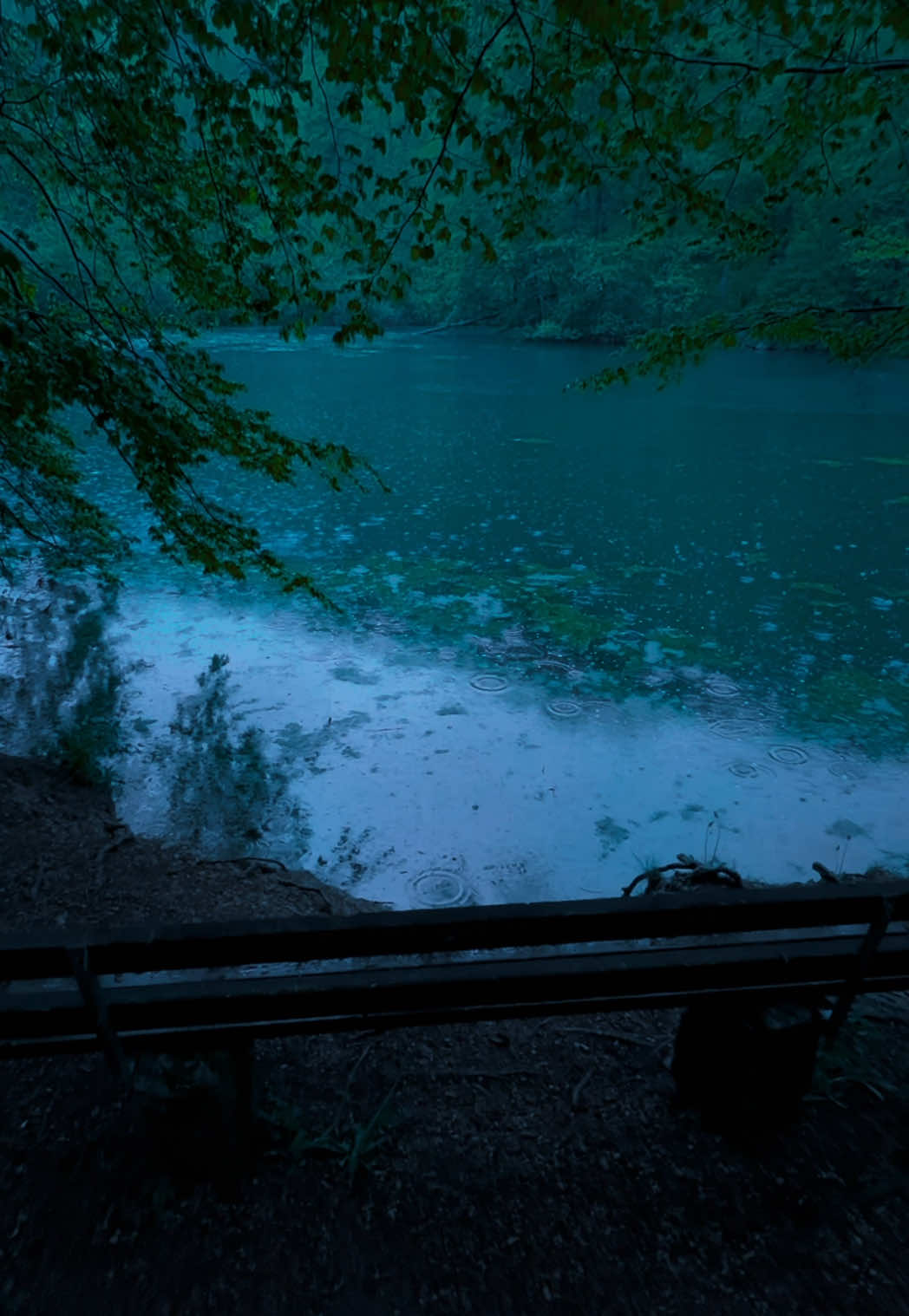 🩶🩶🩶#nature #darkaesthetic #calm #naturephotography #foryоu #aesthetic #relax 