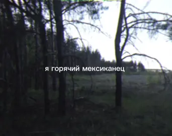𝙈𝙪𝙛𝙛𝙞𝙣 || музыка в тгк: muffinmus #muffin #fyp #fypシ #music #positivevibes #рекомендации #ягорячиймексиканец 