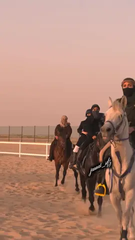 🥷🐎🖤 #bravehijabi #respect #خيل_وخياله🐎🖤ماشاءالله_اللهم_بارك🧿♥️ #jannat_srfz #deartiktokteamdontunderviewmyvideos 