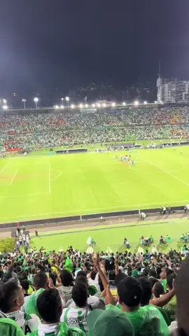 Vamos vamoos #Nacional 🇳🇬 🇳🇬 #atleticonacional #libertadores #verdolaga #bahia 