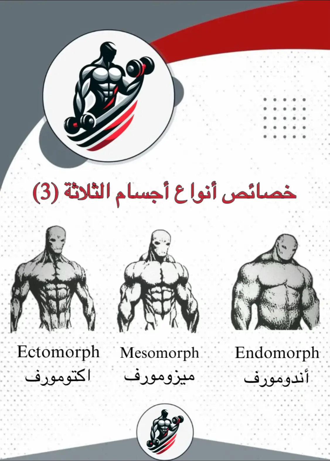اكتومورف سهولة في حرق الدهون لا يكسب الوزن بسرعة احرص على تناول الكاربوهيدات لمد الجسم بالطاقة والعضلات لتظهر بشكل أجمل و أكثر جاذبية ميزومورف سهولة في حرق الدهون سهولة في خسارة الدهون تناول ما تشاء بإعتدال ولكن ابتعد عن السكريات بشكل خاص لأنها تزيد وزنك بشكل سريع اندومورف أكير لخسارة الوزن تركز الذهون في لبروتين والدمون والتقليل من الكاربوهيدرات  #ectomorfo  #gym #motivation #fyp #sports #fyp #تمارين #اكسبلور #creatorsearchinsights 