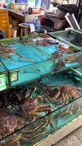Como é os frutos do mar na China 🇨🇳 🦞  #viagens #turismo 
