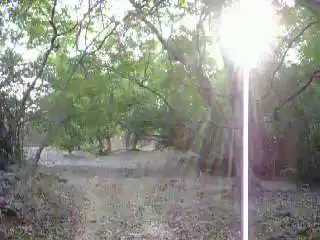 ෴⚘₊˚෴𖥧𖤣𖥧෴˚₊𖥧 cr: @𓂃 ࣪˖ ִֶָ ♪⃰⃰ ִֶָ 𝄞𝄞 𓂃𐀔  #dc #dlaciebie #fypツ #foryou #foryoupage #core #discomfort #derealization #discomfortcore #xyzbca #rukiawaa #trauma #nostalgia #horror #creepy #forest #2009 #digicam #digitalcamera #camcorder #memories #nostalgia #childchood #weirdcore #dreamcore #creepytok #????????????????????????????? #why #littlecrazygrl #recomendations #endthissuffering #pek #rec #333333333333333 #cutecore🎀🦴🍮🐾 #cutecore🍮🐇🎀🎧 #cutegore🎀🦴🍮🐾 #cutegore🥩🔪🎀💉🦴🐾 