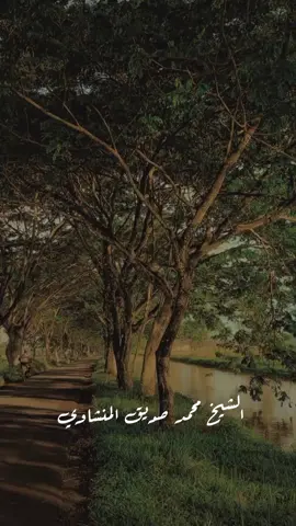 وَإِذَا سَأَلَكَ عِبَادِي عَنِّي|محمد صديق المنشاوي #راحة_نفسية #oops_alhamdulelah #سبحان_الله #foryou #quran #محمدصديق_المنشاوي #قران 