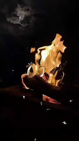 #شعر #اكسبلور 
