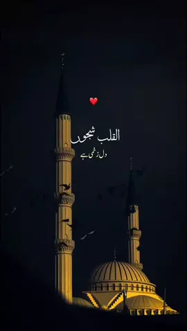 🫀❤️میرا کون ہے آپ کے سوا جاناں ۔ القلب شجوں ۔ ۔ #tiktok #viralvideo #allah #islam #madina #juammah #naat 
