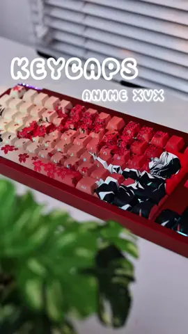 Keycaps XVX với Star 80 #sinhviennam6 #keyboard #banphim #keycaps #xvx 