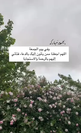 #صباح_الخير #CapCut #صلو_على_النبي_صلى_الله_عليه_وسلم #جمعة_مباركة #اكسبلور #اكسبلور 