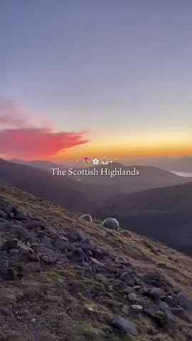 #CapCut scotland <3 #roadtrip 