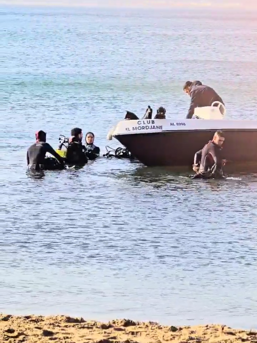 #natation #sportaquatique #tik_tok #sport #الشعب_الصيني_ماله_حل😂😂 #تونس_المغرب_الجزائر #plongee @Hippone Sub Annaba @Aventuriers المغامرون ⚓🤿🙏🏊🏊🏊🏊