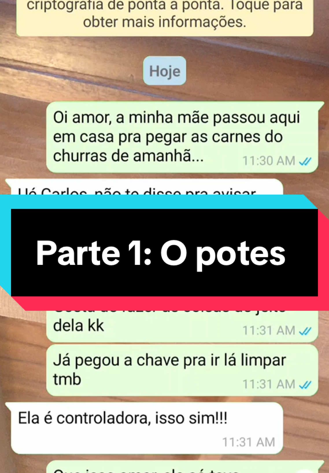 Ninguém mexe nos potes dela kk #conversasdowhatsapp #plottwist #historias 