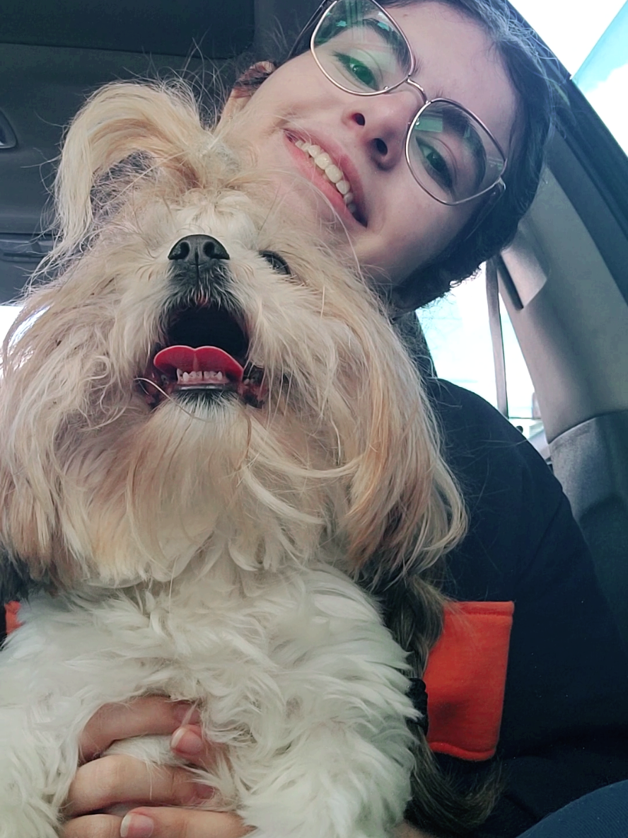 minha melhor amiga ❤️ #dog #shihtzu #doglover #tiktokviral #tiktokviral #tiktokbrasil #fyp #tiktokpets #howtogoviral #cachorro #pets  tags: cachorro, pet, meu melhor amigo é o meu cachorro