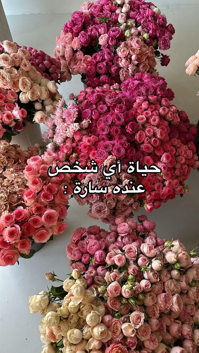 تعالو الاصفر👀🙌🏼#