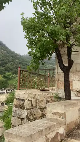 شيخو-به كر 🤍🤍